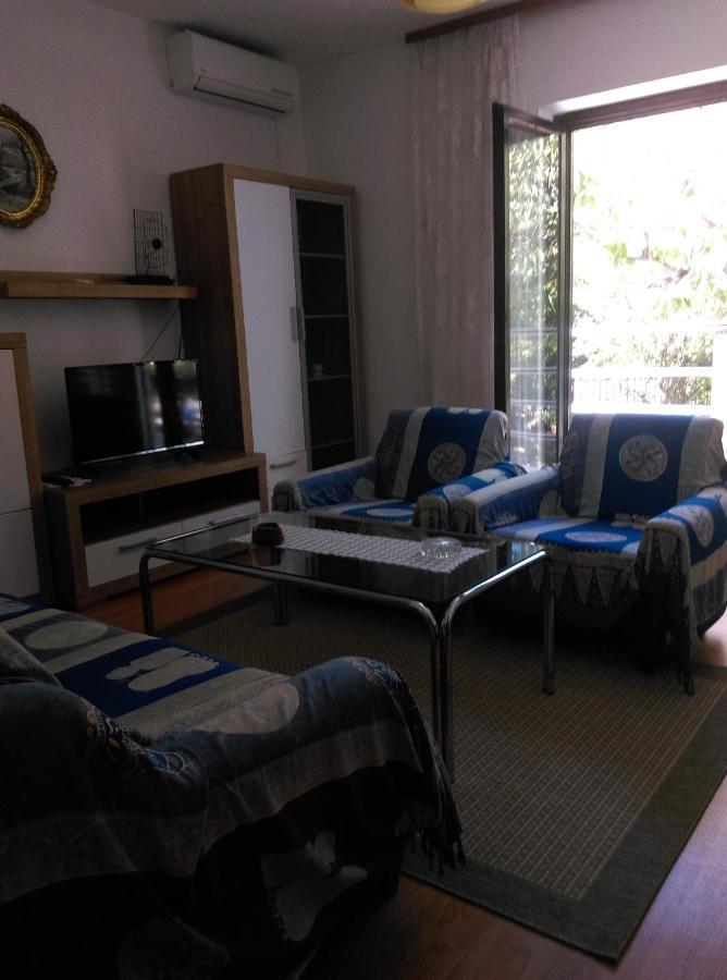 Apartment Vrzic *